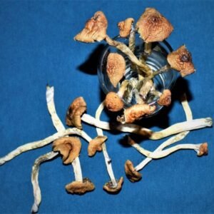 Buy Ecuador Strain Online