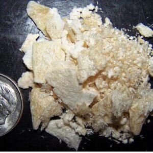 Buy mescaline cactus online