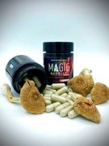 Golden teacher micro dose 3.5mg